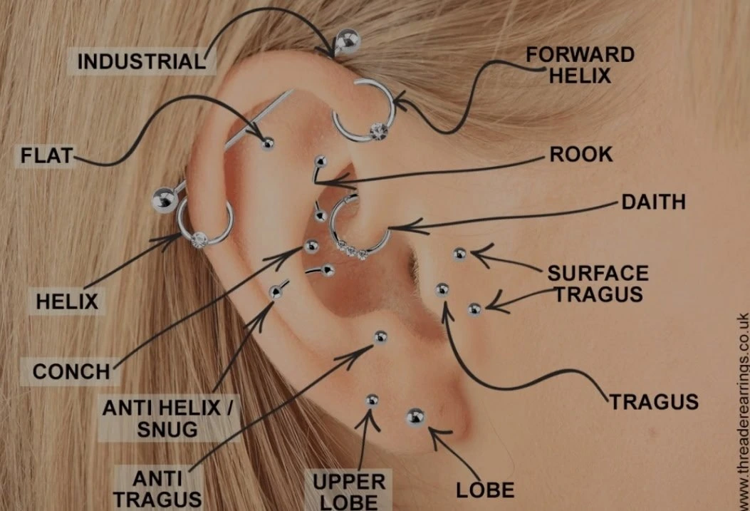 Body piercing jewellery at Black Pearl Toronto